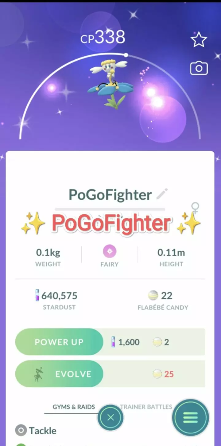 Pokémon GO Shiny Blue Flower Flabébé - Trade 20.000 stardust (Read Describe)