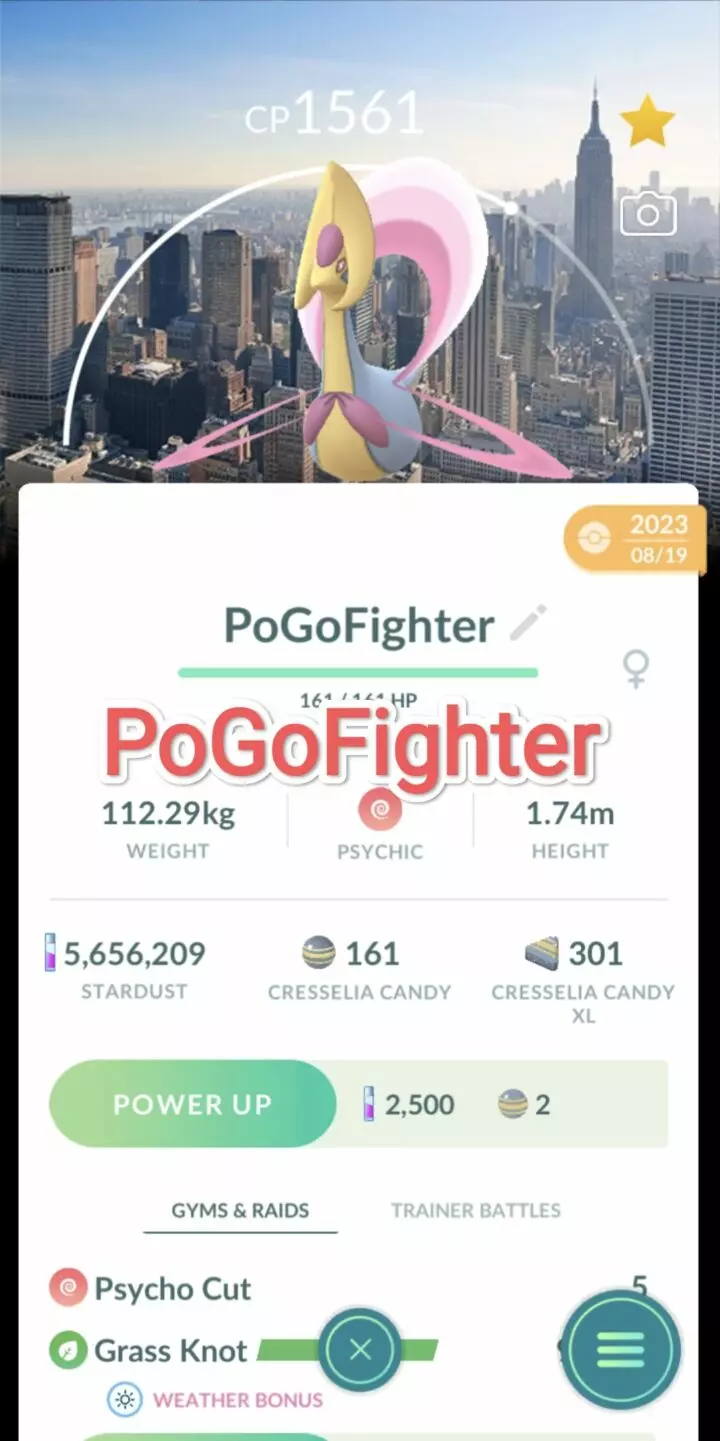 Pokémon GO Cresselia New York Location Card Background - GO Fest 2023 – Trade 20.000 stardust (Read Describe)