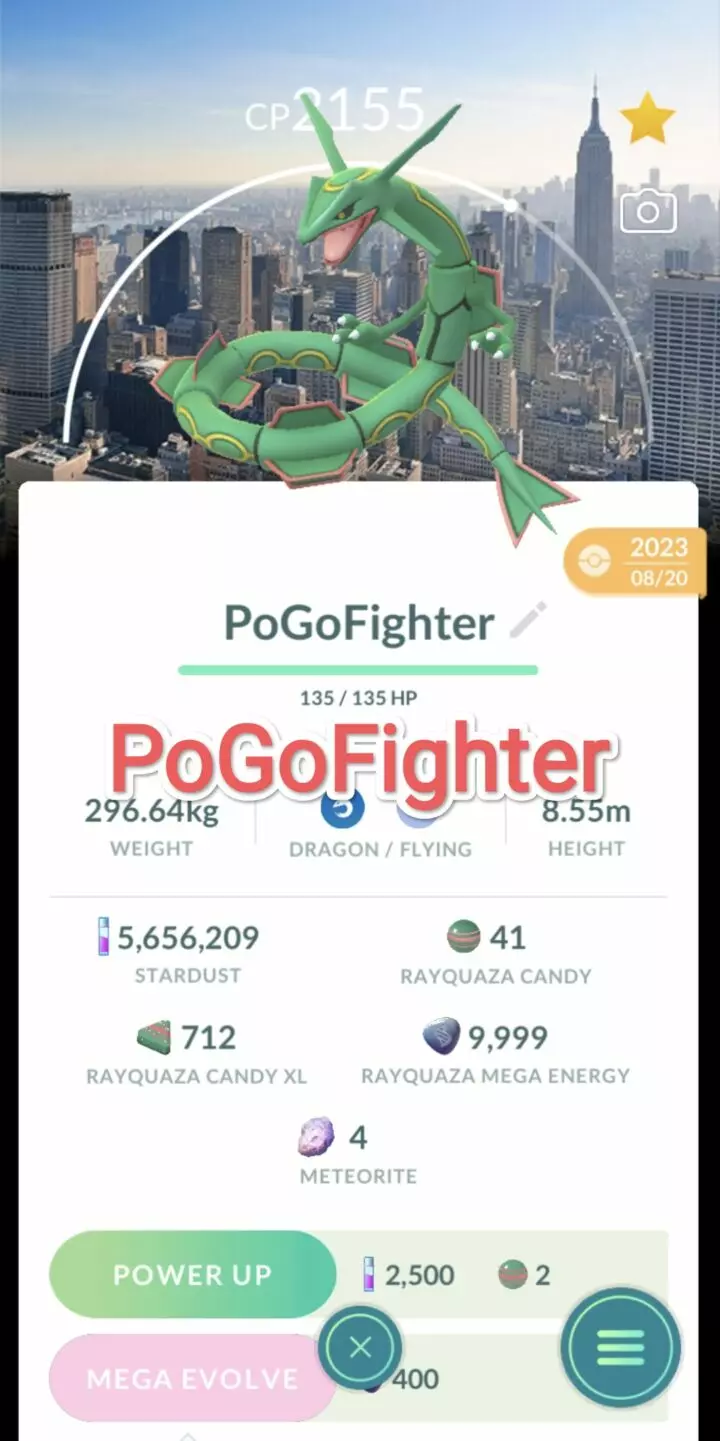Pokémon GO Rayquaza New York Location Card Background - GO Fest 2023 – Trade 20.000 stardust (Read Describe)