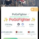 Pokémon GO Shiny Yveltal New York Location Card Background - GO Fest 2023 – Trade 20.000 stardust (Read Describe)
