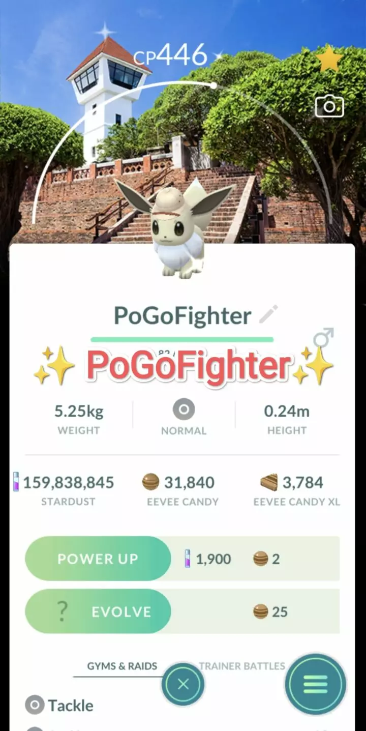 Pokémon GO Shiny Explorer Eevee - Tainan, Taiwan Location Card Background - Trade 20.000 stardust (Read Describe)