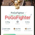 Pokémon GO Explorer Eevee - Tainan, Taiwan Location Card Background – TRADE (Read Describe)