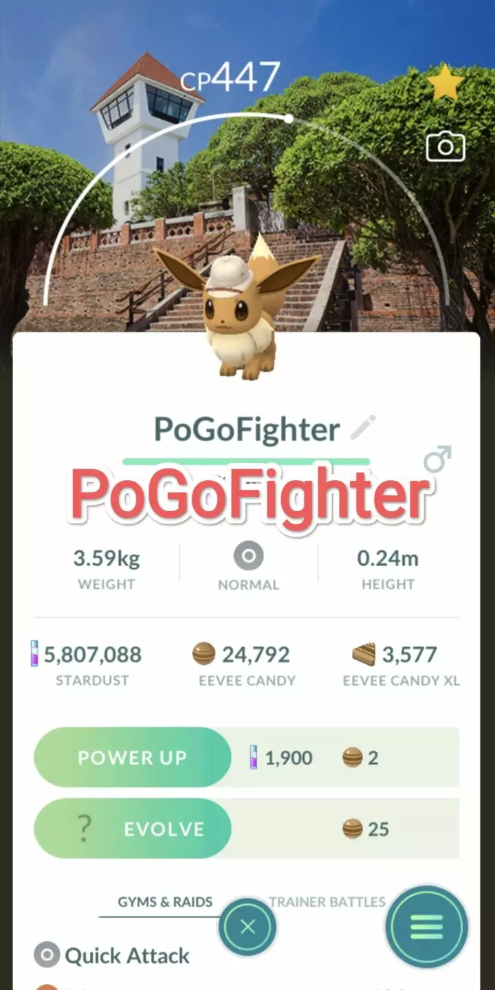 Pokémon GO Explorer Eevee - Tainan, Taiwan Location Card Background – TRADE (Read Describe)