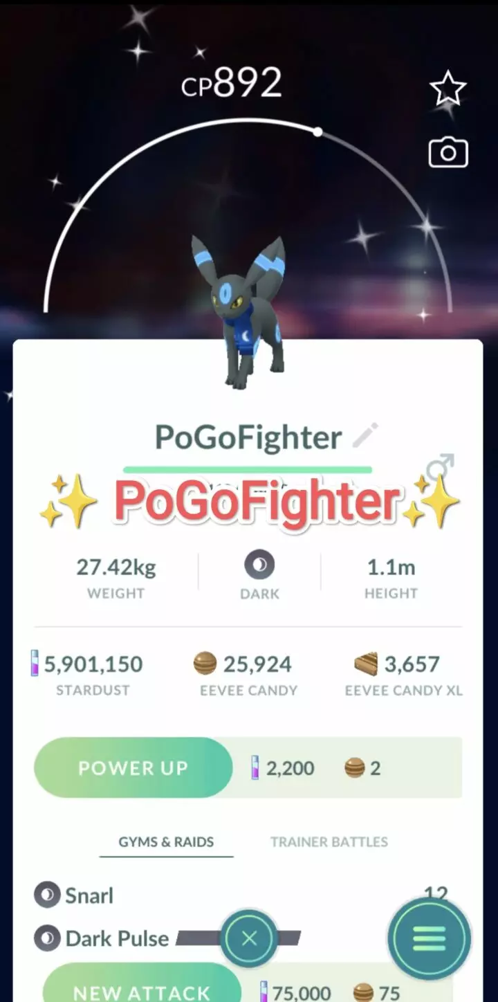 Pokémon GO Shiny Night Scarf Umbreon - Trade 20.000 stardust (Read Describe)