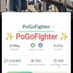 Pokémon GO Kartana New York City, USA Location Card Background – Trade 20.000 stardust (Read Describe)