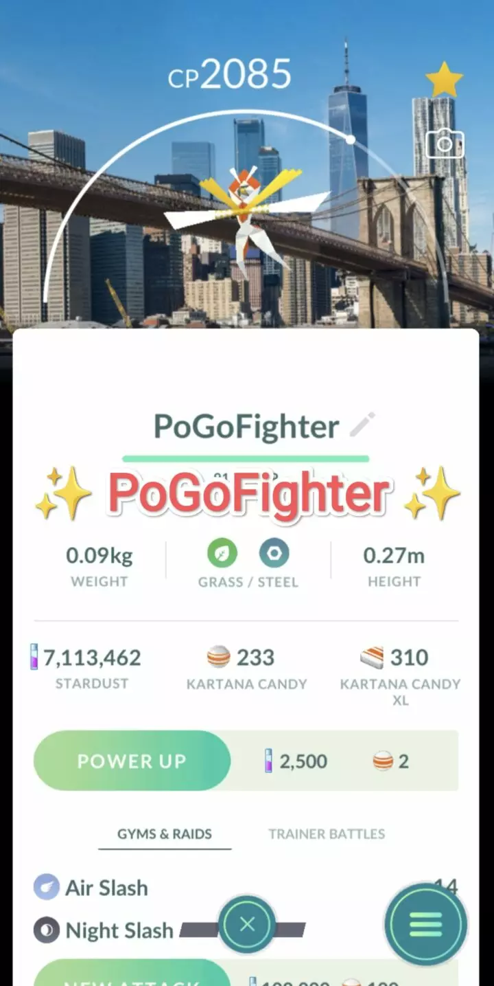 Pokémon GO Kartana New York City, USA Location Card Background – Trade 20.000 stardust (Read Describe)