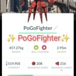 Pokémon GO Buzzwole New York City, USA Location Card Background – Trade 20.000 stardust (Read Describe)