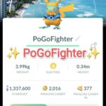 Pokémon GO Shiny World Championships 2024 Pikachu - Honolulu, Hawaii Location Card Background - Trade 20.000 stardust (Read Describe)