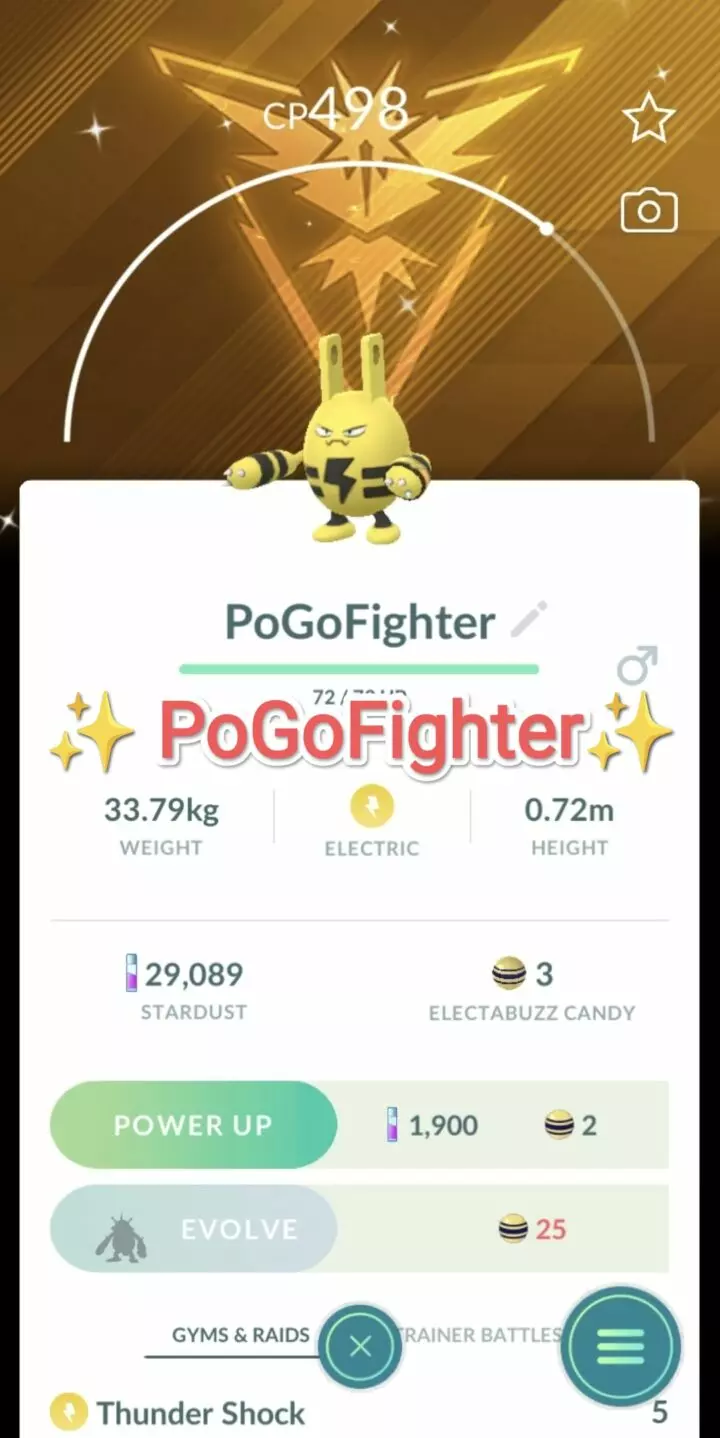 Pokémon GO Shiny Spark Accessory Elekid Location Card Instinct Background - Trade 20.000 stardust (Read Describe)