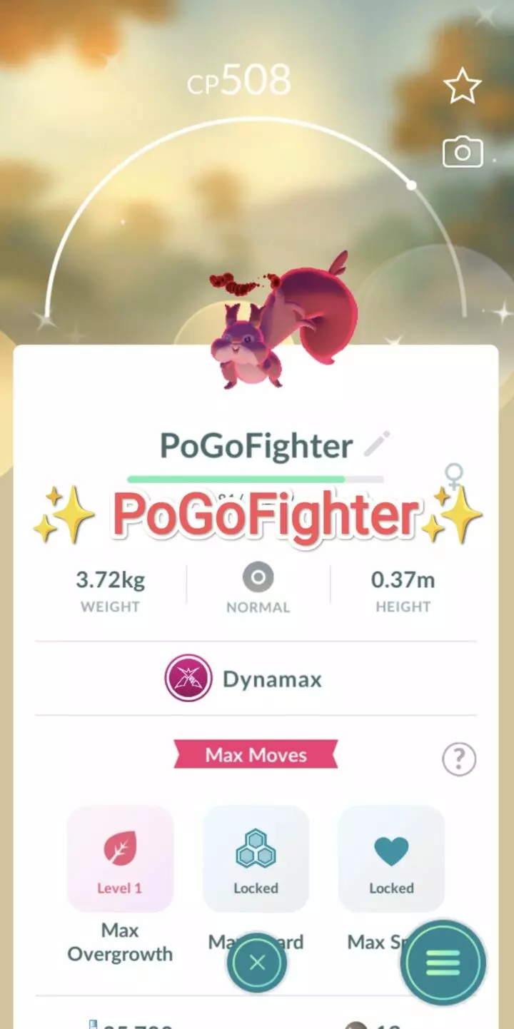 Pokémon GO Shiny Dynamax Skwovet - Trade 20.000 stardust (Read Describe)