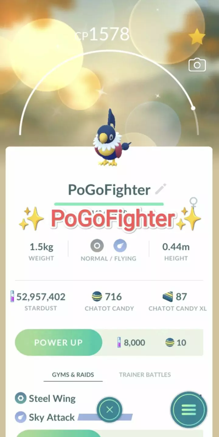 Pokémon GO Shiny Chatot – Trade 1.000.000 stardust (Read Describe)