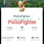 Pokémon GO Explorer Eevee - Jakarta, Indonesia Location Card Background – TRADE (Read Describe)