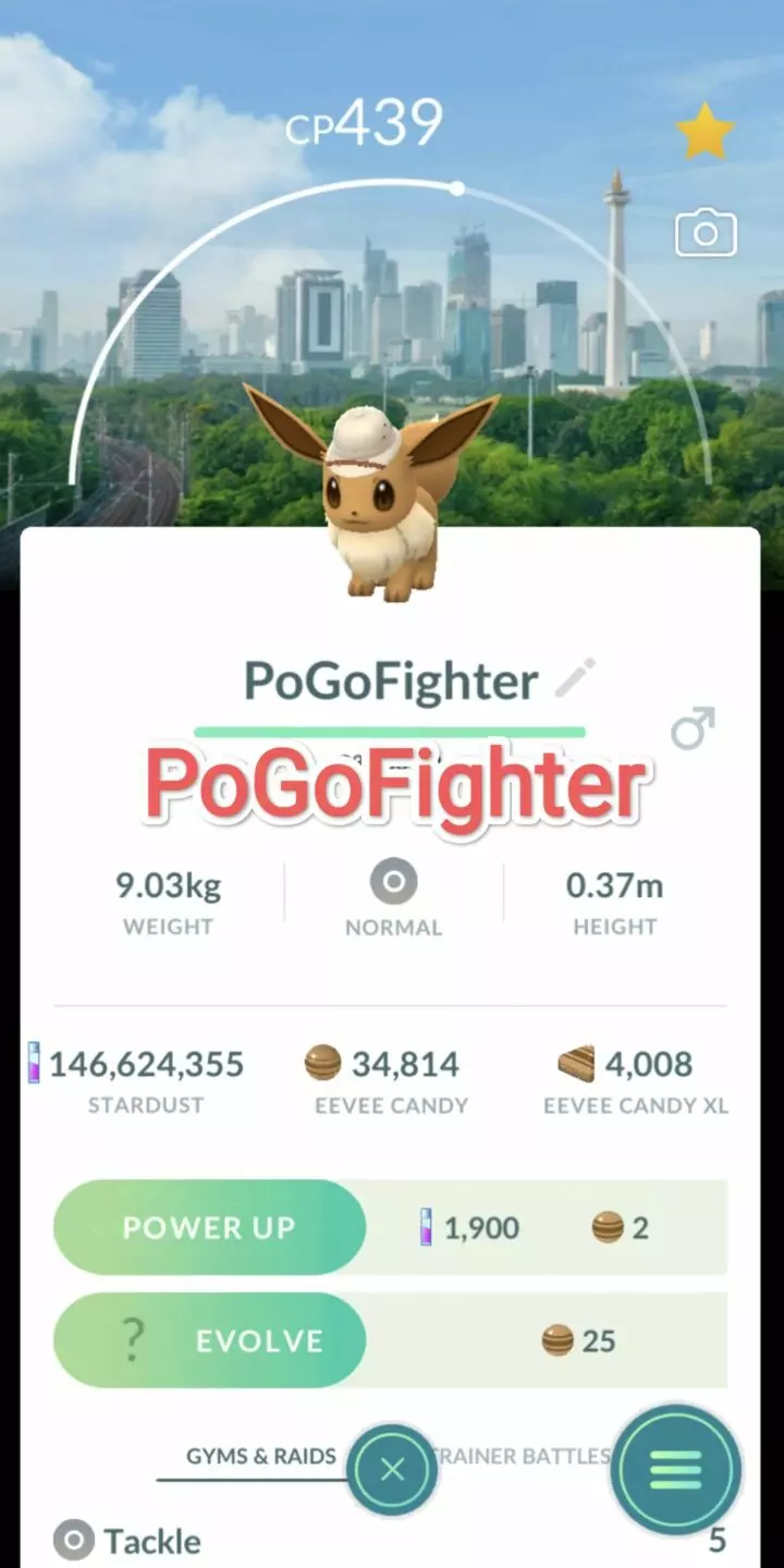 Pokémon GO Explorer Eevee - Jakarta, Indonesia Location Card Background – TRADE (Read Describe)