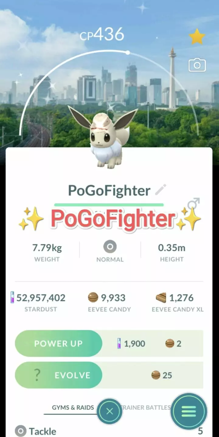 Pokémon GO Shiny Explorer Eevee - Jakarta, Indonesia Location Card Background - Trade 20.000 stardust (Read Describe)