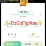 Pokémon GO Shiny Pikachu Miami MLB Marlins Baseball Court Background - Trade 20.000 stardust (Read Describe)