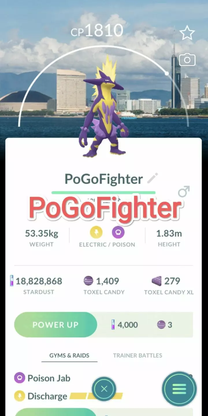 Pokémon GO Toxtricity (Amped Form) - Fukuoka Background - Trade 20.000 stardust (Read Describe)
