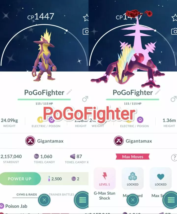 Pokémon GO Shiny Gigantamax Toxtricity (Amped Form) - Trade 20.000 stardust (Read Describe)