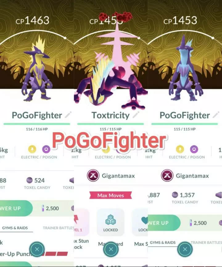 Pokémon GO Gigantamax Toxtricity - GO Wild Area Global Background – Trade 20.000 Stardust (Read Describe)