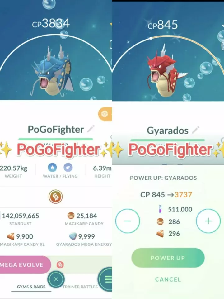 Pokémon GO Shiny Gyarados / Gyarados Level 40 / Level 50 – Unlock 2nd Charge ATK (Aqua Tail*) – PVP Master League – TRADE (Read Describe)