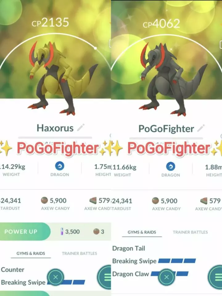 Pokémon GO Shiny Haxorus / Haxorus Level 40 / Level 50 – Unlock 2nd Charge ATK (Breaking Swipe*) – PVP Master League – TRADE (Read Describe)