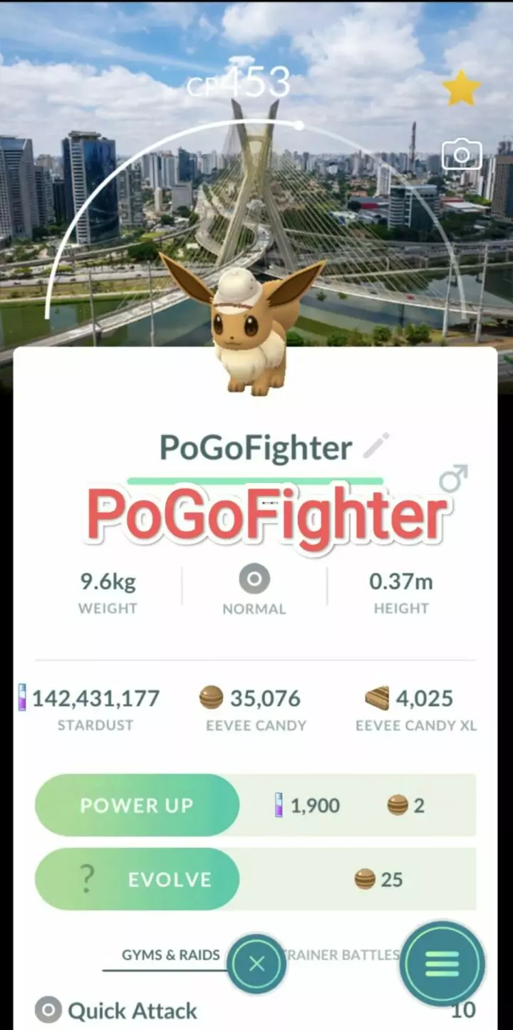 Pokémon GO Explorer Eevee -  Sao Paulo, Brazil Location Card Background – TRADE (Read Describe)