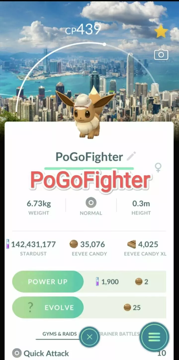 Pokémon GO Explorer Eevee -  Hong Kong Location Card Background – TRADE (Read Describe)