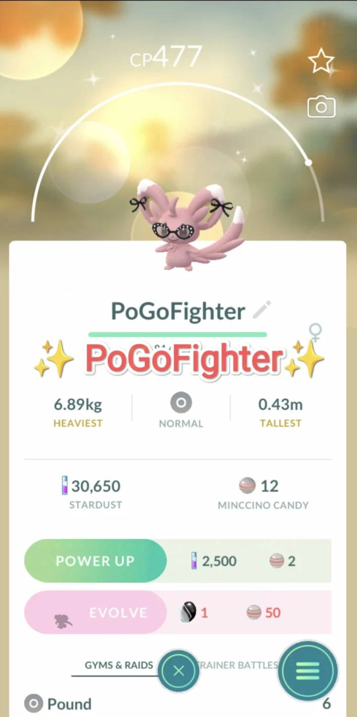 Pokémon GO Shiny Fashionable Minccino - Trade 20.000 stardust (Read Describe)