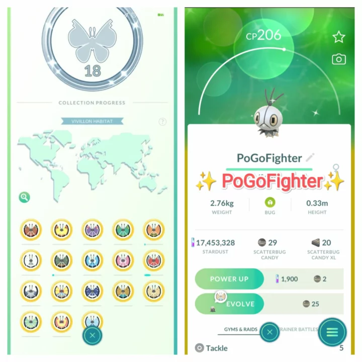 Pokémon GO Shiny Scatterbug - All Forms - Trade 20.000 stardust (Read Describe)