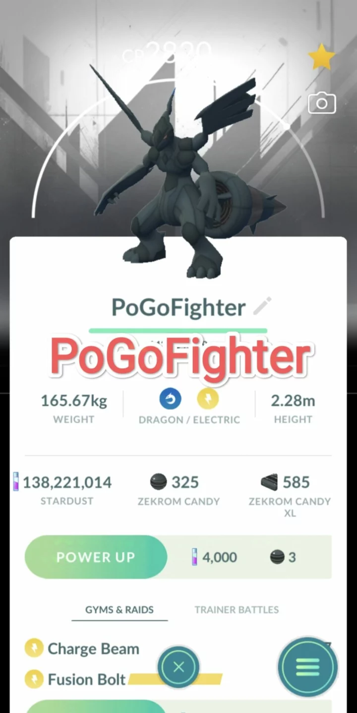 Pokémon GO Zekrom - White Background- GO Tour - Trade 20.000 stardust (Read Describe)