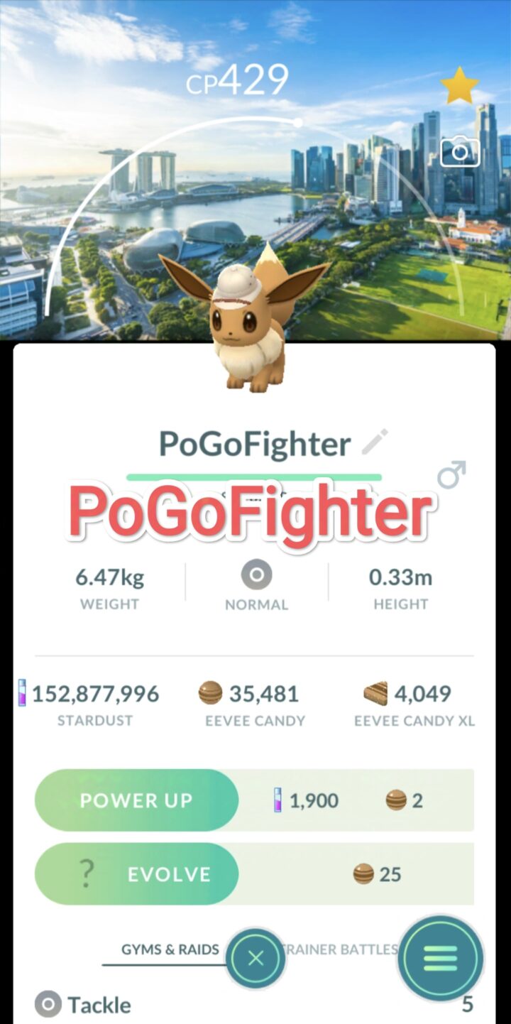 Pokémon GO Explorer Eevee - Singapore Location Card Background – TRADE (Read Describe)