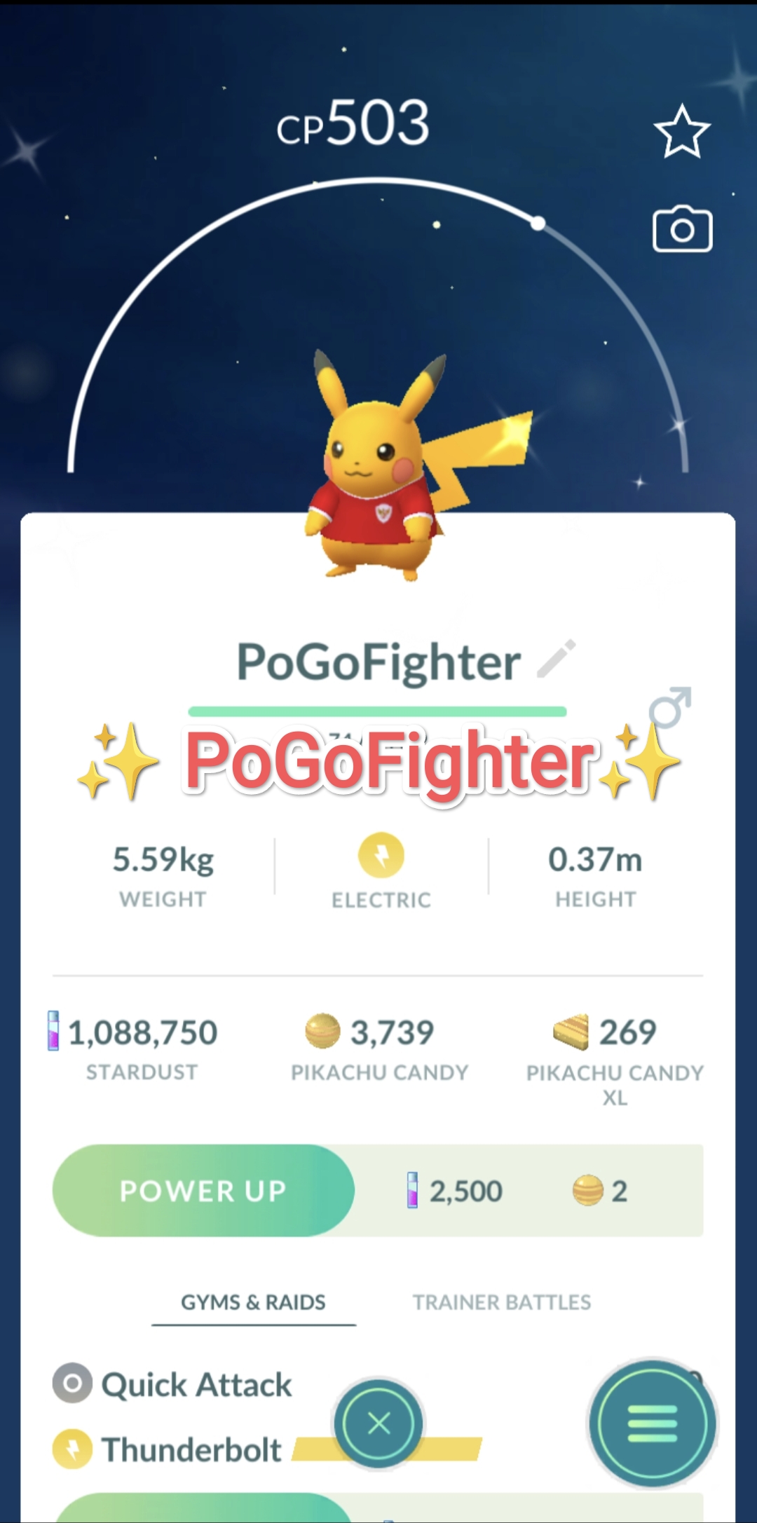 Pokémon GO Shiny Pikachu wearing an Indonesia football jersey - Trade 20.000 stardust (Read Describe)