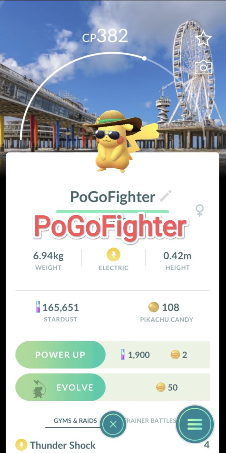 Pokémon GO Pikachu with summer flair - Road Trip Den Haag, Netherlands Background - Trade 20.000 stardust (Read Describe)