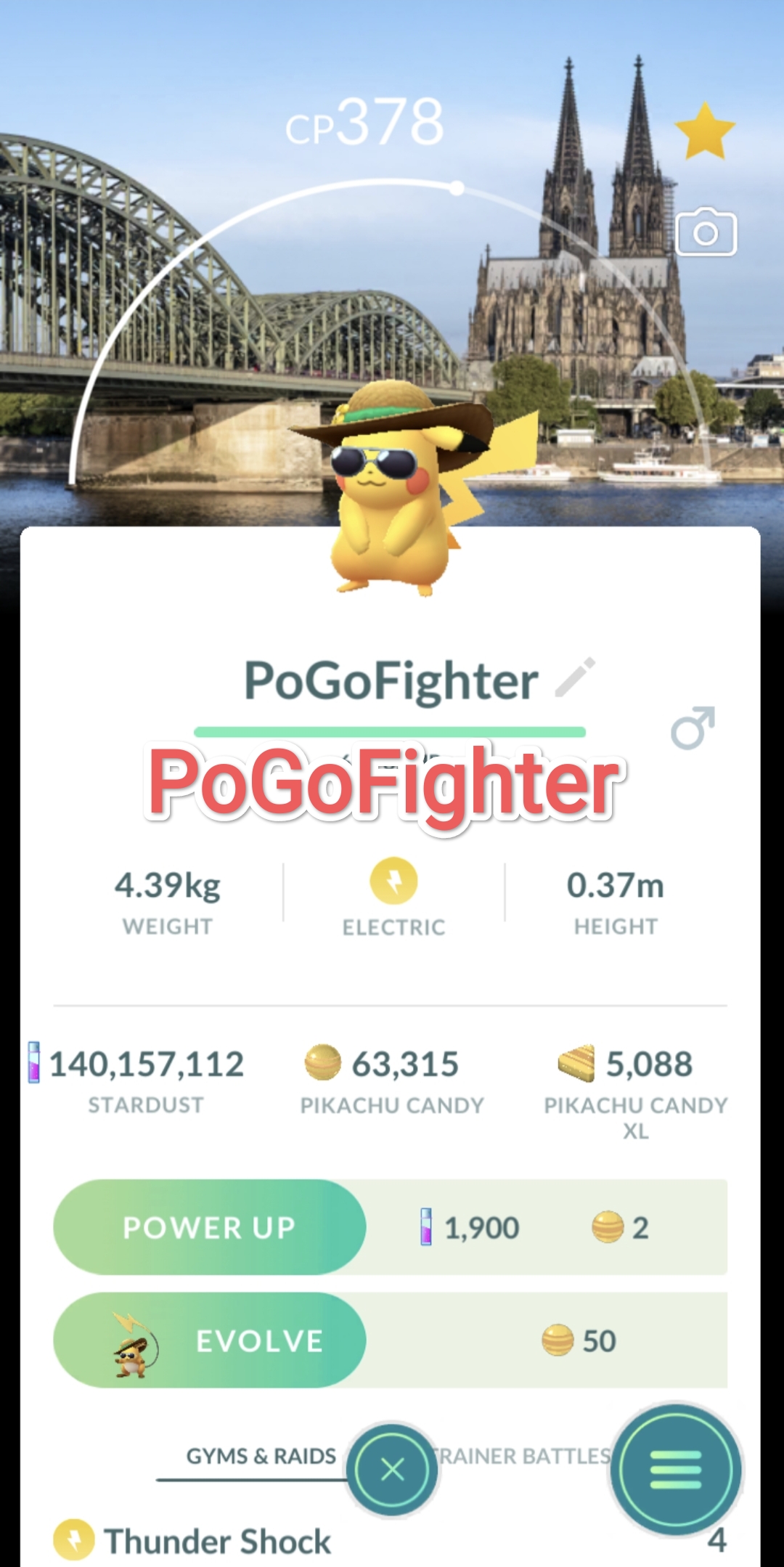 Pokémon GO Pikachu with summer flair - Road Trip Cologne, Germany Background - Trade 20.000 stardust (Read Describe)