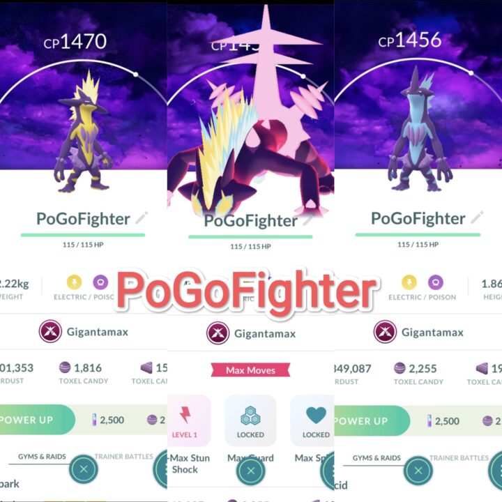 Pokémon GO Gigantamax Toxtricity - Dark Skies Background – Trade 20.000 Stardust (Read Describe)
