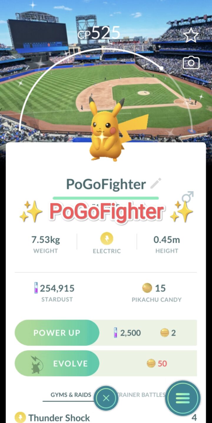 Pokémon GO Shiny Pikachu - New York Mets - MLB Baseball Stadium - Citi Field, New York City, New York, USA Background   - Trade 20.000 stardust (Read Describe)