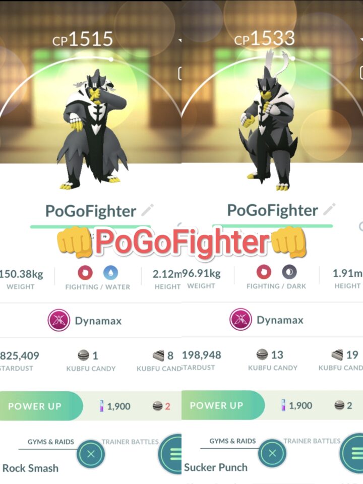 Pokémon GO Dynamax Urshifu - Single Strike / Rapid Strike Style – TRADE (Read Describe)