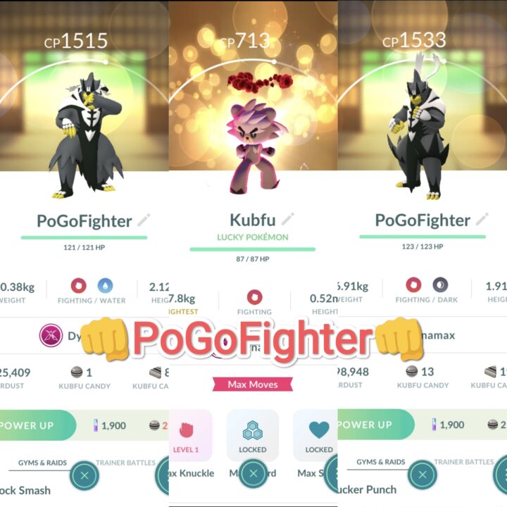 Pokémon GO Dynamax Urshifu - Single Strike / Rapid Strike Style - Unlock 2nd Charge ATK – PVP Master League – TRADE (Read Describe)