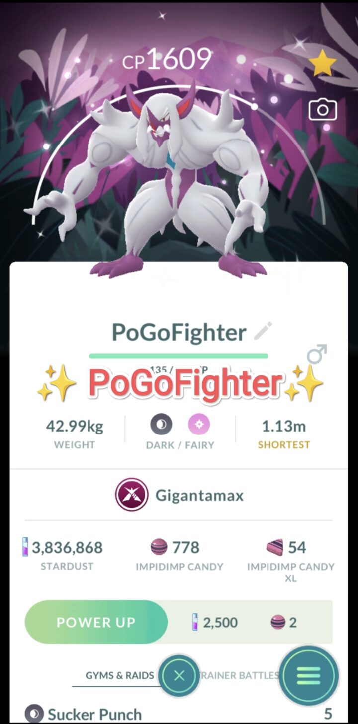 Pokémon GO Shiny Gigantamax Grimmsnarl with Special Background - Into the Wild - Trade 20.000 stardust (Read Describe)