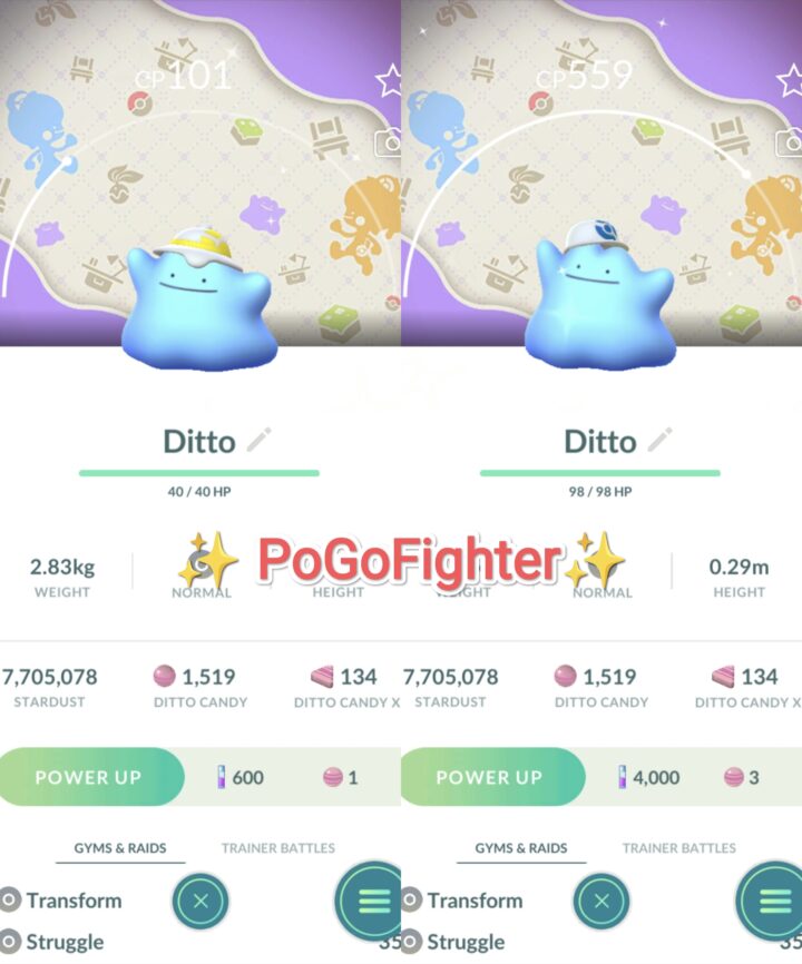 Pokémon GO Shiny Ditto wearing a cap Special background Pokopia - Trade 20.000 stardust (Read Describe)