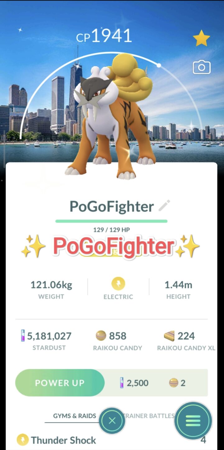Pokémon GO Shiny Raikou - Chicago, United States Background - Go Fest 2026 - Trade 20.000 stardust (Read Describe)