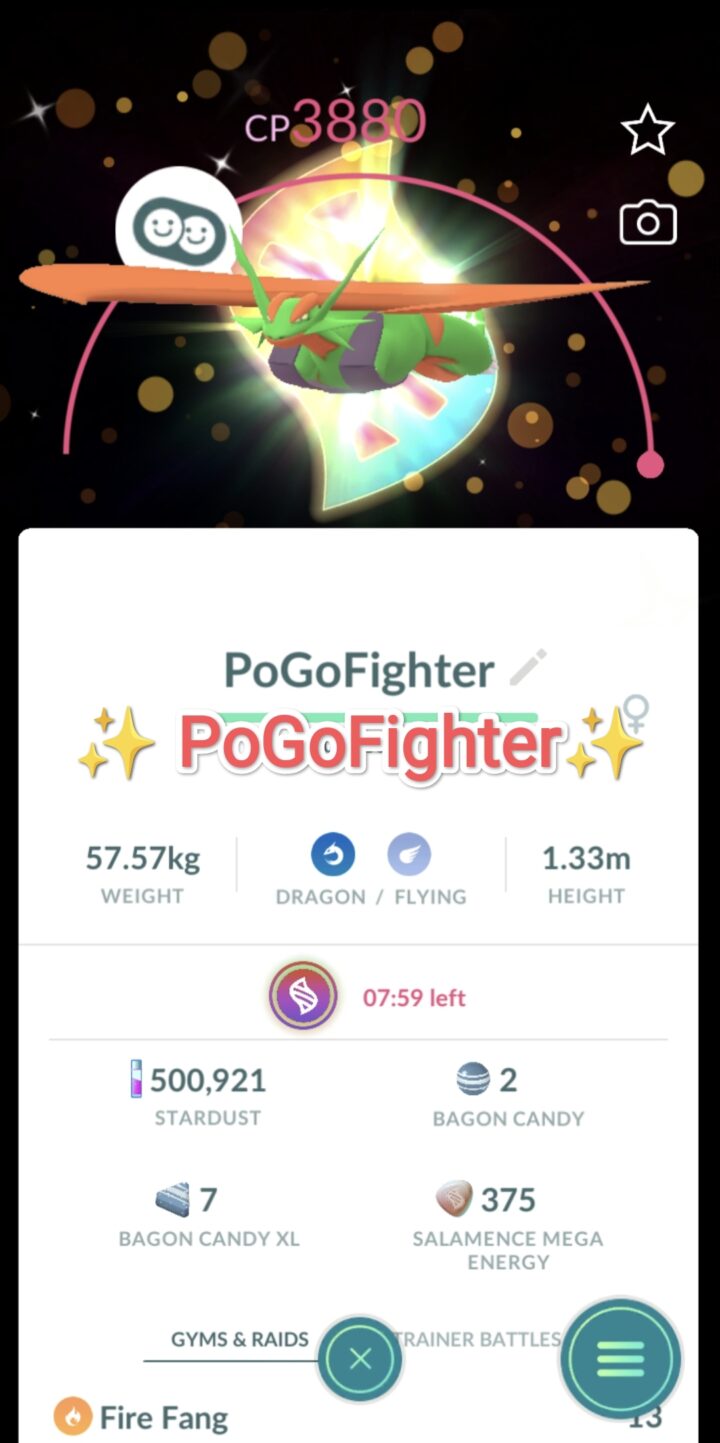 Pokémon GO Shiny Mega Salamence - Mega Evolution Background - Trade 20.000 stardust (Read Describe)